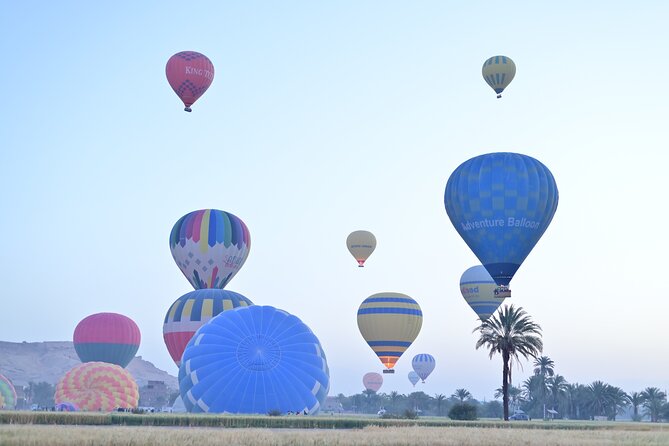1 Day Private Tour with Hot Air Balloon from Hurghada to Luxor - Lunch in Luxor, then the return drive back to Hurghada