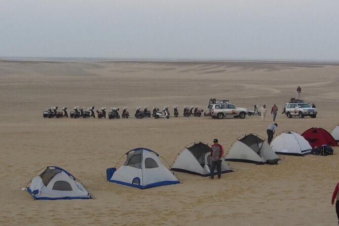 2 Day Bahariya Oasis White Desert Tour - Price and value: what $320 includes, and what that really buys you