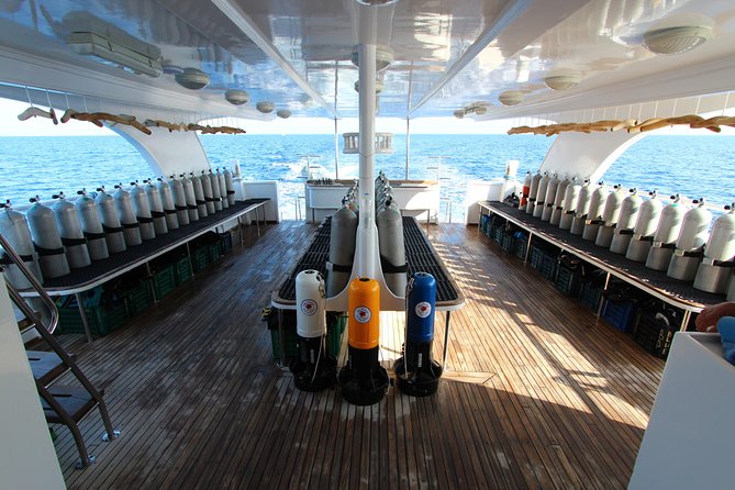 2-Dive adventure-Safe & Top-rated boat for Certified Divers - The practical timeline: start at 8:00, back around 4:00