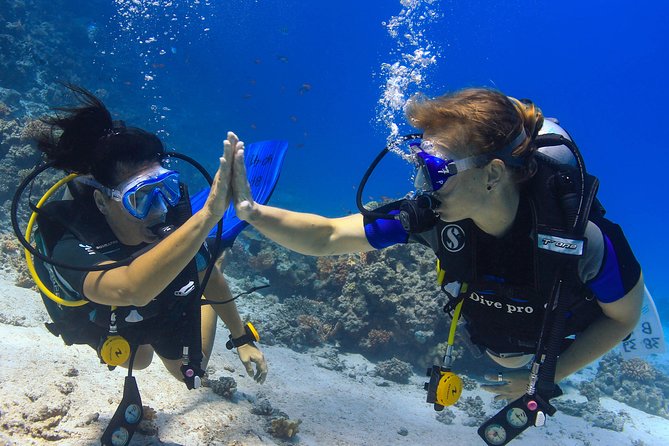 2-Dive adventure-Safe & Top-rated boat for Certified Divers - Boarding the 27m vessel: sun beds, shade, and a real safety briefing