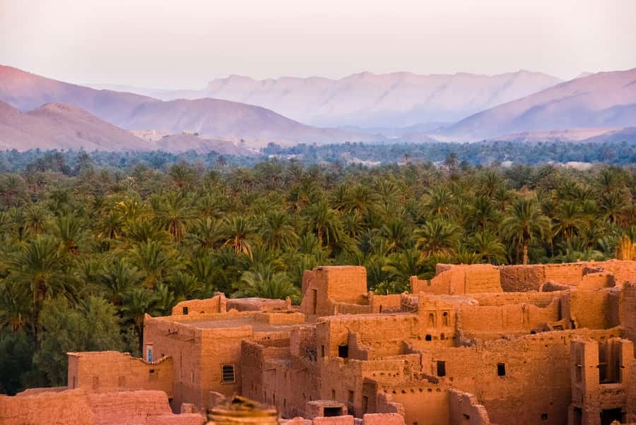2 Nights 3 Days at Siwa Oases camp from Cairo - Who This Siwa Tour Suits Best, and Who Should Think Twice