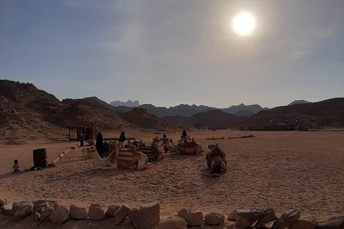 3 Hours Safari by Quad Bike - Hurghada - Quad Bike ATV Basics in Hurghada, Including Training and Group Flow