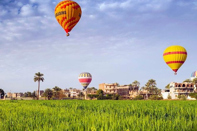 3 Nights Cruise Aswan to Luxor including Abu Simbel, Nubian Village&Air Balloon - Guides: the difference between seeing temples and understanding them