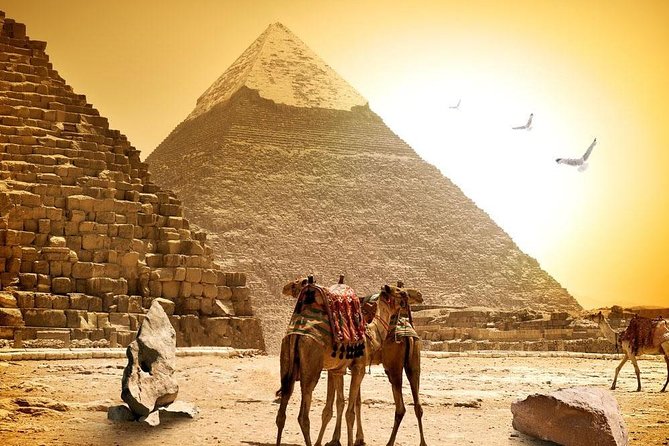 8-Day Private Tour Cairo, Aswan, Luxor and Nile Cruise Including Air Fare - Day 3: flying to Aswan, plus High Dam and Philae Temple