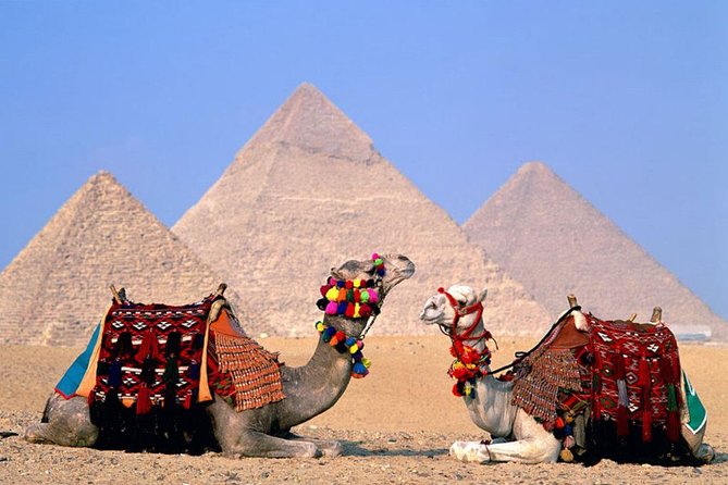 8-Day Private Tour Cairo, Aswan, Luxor and Nile Cruise Including Air Fare - Day 1 in Cairo: airport pickup and a 5-star base in the city