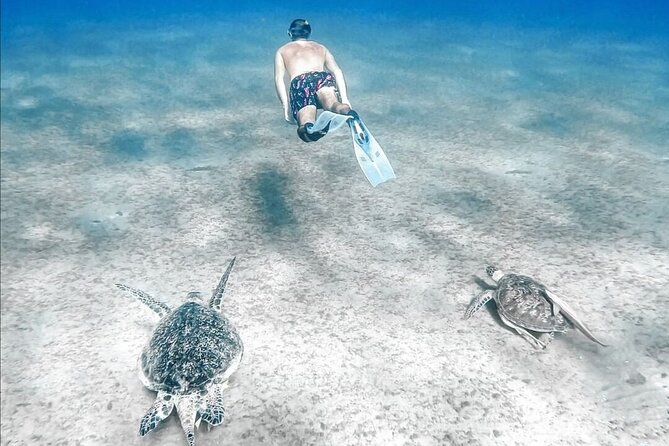 Abu Dabbab Beach Full Day Trip with Turtles - The Guide Experience: Safety, Crowd Flow, and Real Expectations