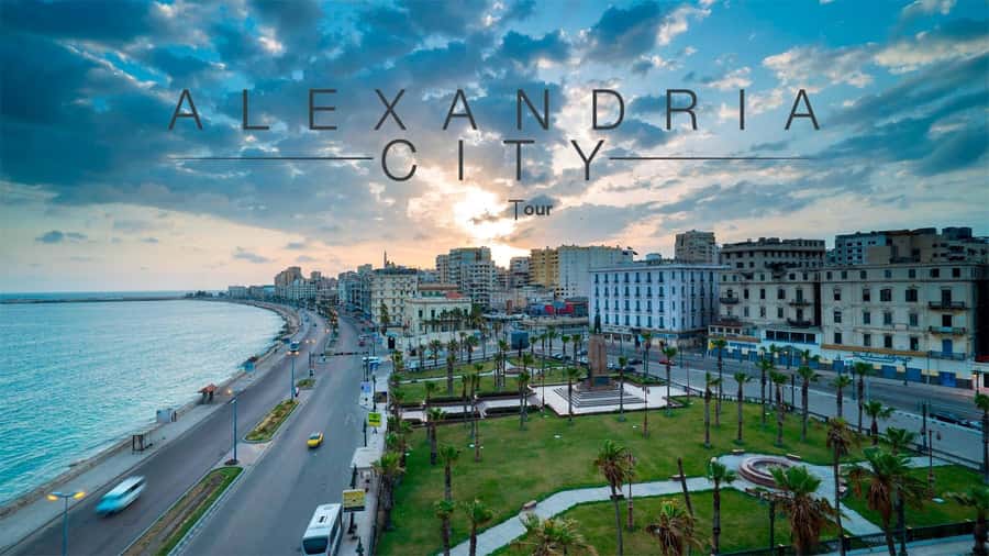 Alexandria: Library, Amphitheater & Citadel Tour - Guide quality matters here, and the reviews point to real strengths