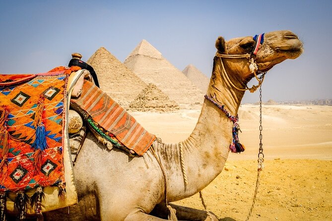 All INC- Pyramids,Camel Ride،(1 hour) four wheeler (ATV)& Lunch - ATV Quad Bike Desert Safari, What 1 Hour Feels Like