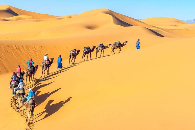 All Inclusive Day Tour To Cairo from Alexandria Port - Alexandria Port to Cairo, the real value is the time saved
