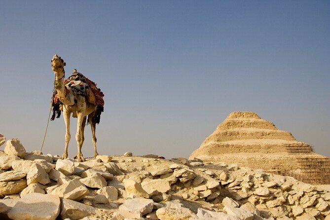 All inclusive :Pyramids, Sphinx ,lunch, ATV BIKE ,CAMEL,Shopping - Service Level: What the Reviews Signal About Your Day