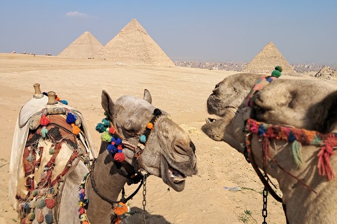 All-inclusive Saqqara, Giza pyramids,lunch,fees,30 min camel ride - Key things you’ll notice on this tour