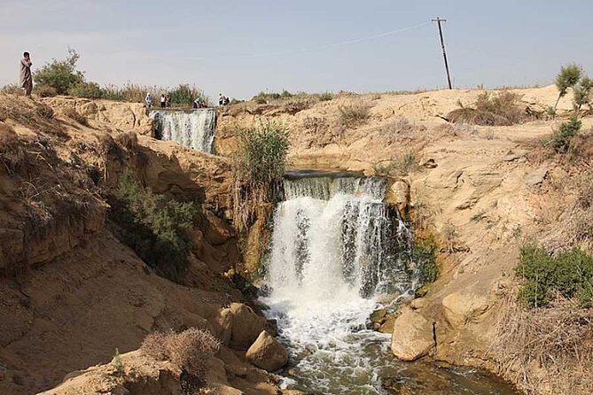 Allinclusive Private Tour Fayoum Oasis & Valley of Wales - Price and value: what $88 per person really covers