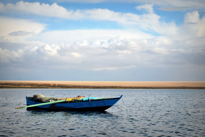 Allinclusive Private Tour Fayoum Oasis & Valley of Wales - Wadi El-Rayan plan: Magic Lake walks, 4x4 dunes, waterfalls, and a boat ride