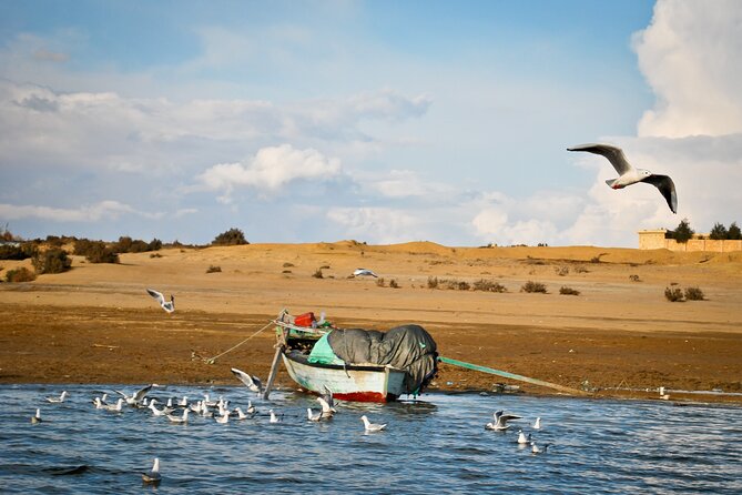 Allinclusive Private Tour Fayoum Oasis & Valley of Wales - Fayoum Oasis: Lake Qarun, fish, and Mudawara Mountain views
