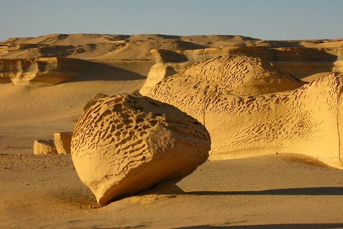 Allinclusive Private Tour Fayoum Oasis & Valley of Wales - Valley of the Whales option: plan your time and entrance budget