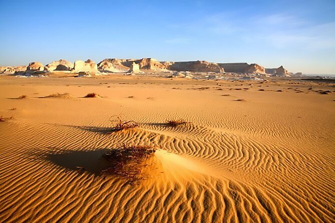 Allinclusive Private Tour Fayoum Oasis & Valley of Wales - Food and snacks: what you should expect beyond lunch