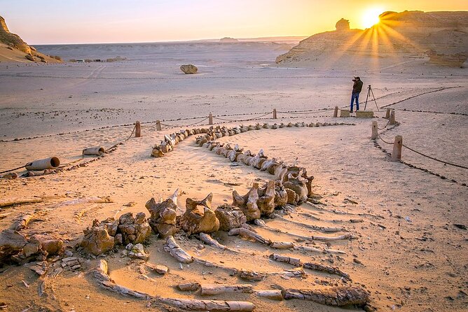 Allinclusive Private Tour Fayoum Oasis & Valley of Wales - Timing and how the day feels in real life