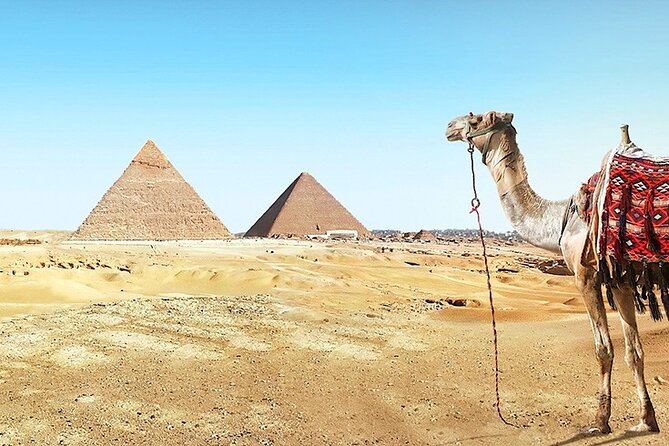 Allinclusive Private tour Giza Pyramids Sphinx Sakkara& Memphis - What to expect from the guide and overall service