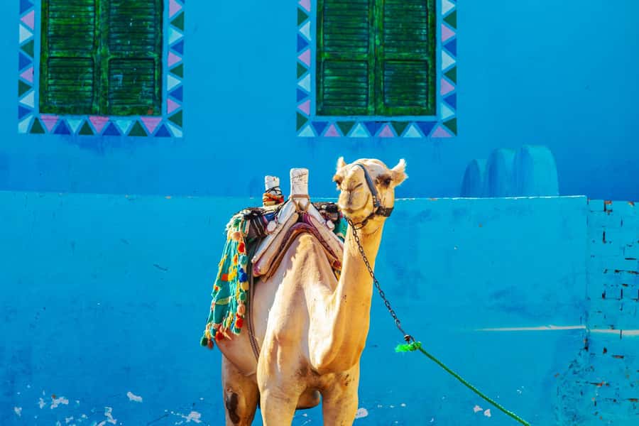 Aswan: Nubian Village Day Trip with Camel Ride - Key things I’d watch for
