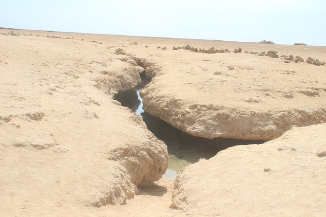Bus Tour to Ras Mohamed from Sharm El Sheikh - Snorkeling in Aqaba and Suez gulfs, plus a mangrove stop