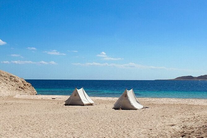 Bus Tour to Ras Mohamed from Sharm El Sheikh - Price and value: $15 plus what you’ll likely add