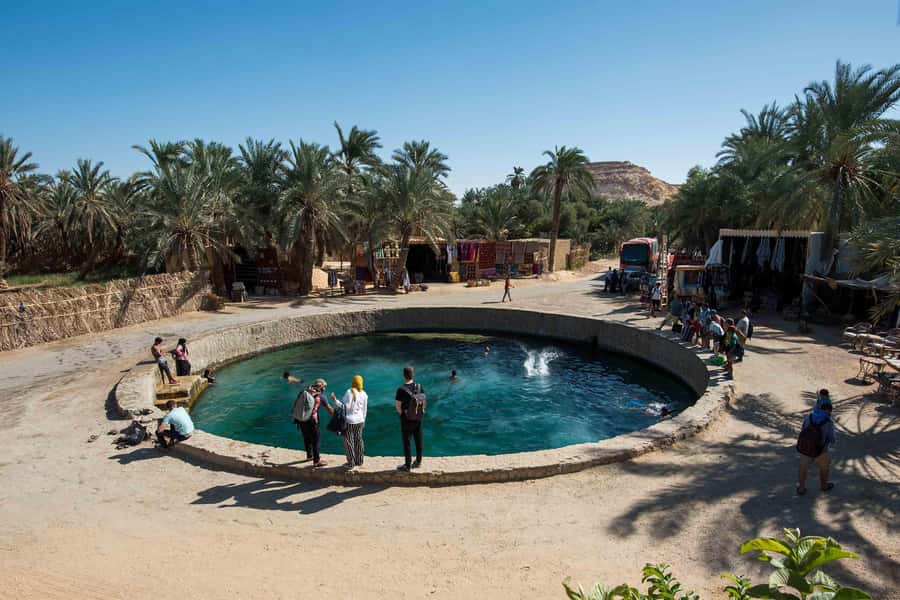 Cairo: 3-Day Siwa Oasis Tour, Safari, Camp & Historical Site - Why Siwa from Cairo feels like a whole new world