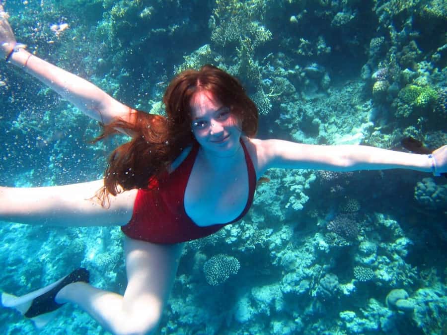 Cairo: Ain Sokhna Snorkeling cruise & optional transfer - Key highlights before you go