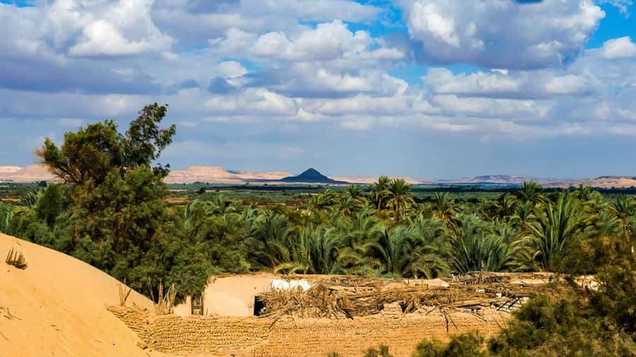 Cairo: Bahariya Oasis & White Desert 3-Day Private Adventure - Price and logistics: is $245 per person worth it?