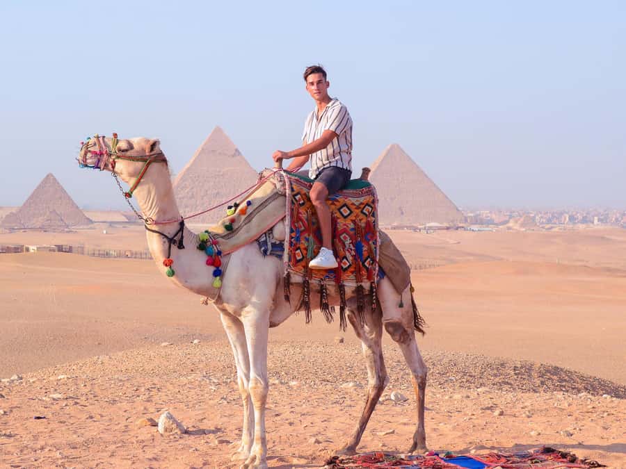 Cairo: Camel Ride Around The Pyramids with Hotel Pickup - Animal welfare and what you should check before you ride