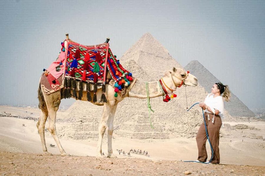 Cairo Day Tour: Pyramids, Museum, Camel Ride & Local Lunch - Practical checklist: what to bring and how to avoid common hiccups