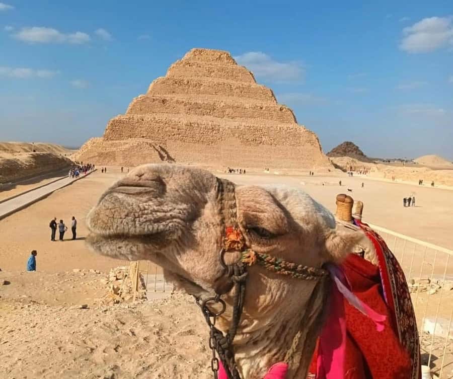Cairo: Djoser, Bent Pyramid & Memphis Day Trip - A 7-hour Route That Lets You See Egypt’s Pyramid “Evolution”