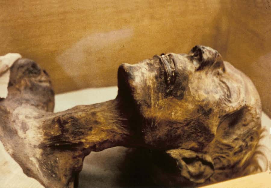 Cairo: Egyptian Museum 4-Hour Private Tour with Transfer - What an Egyptologist guide changes in your experience