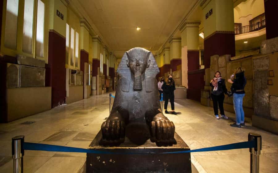 Cairo: Egyptian Museum Private Half Day Guided Tour - Timing, Crowd Control, and When the Day Feels Rushed