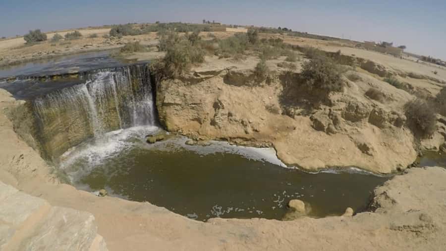 Cairo: Fayoum, Wadi El Rayan, and Wadi al Hitan 4x4 Tour - Key highlights you will actually care about