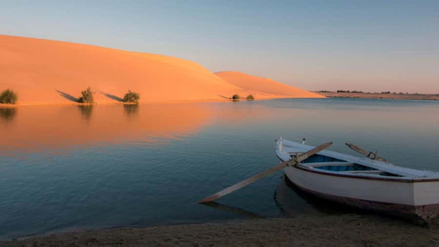 Cairo: Fayoum, Wadi El Rayan, and Wadi al Hitan 4x4 Tour - Shared vs private options: how to choose based on entry fees and your pace
