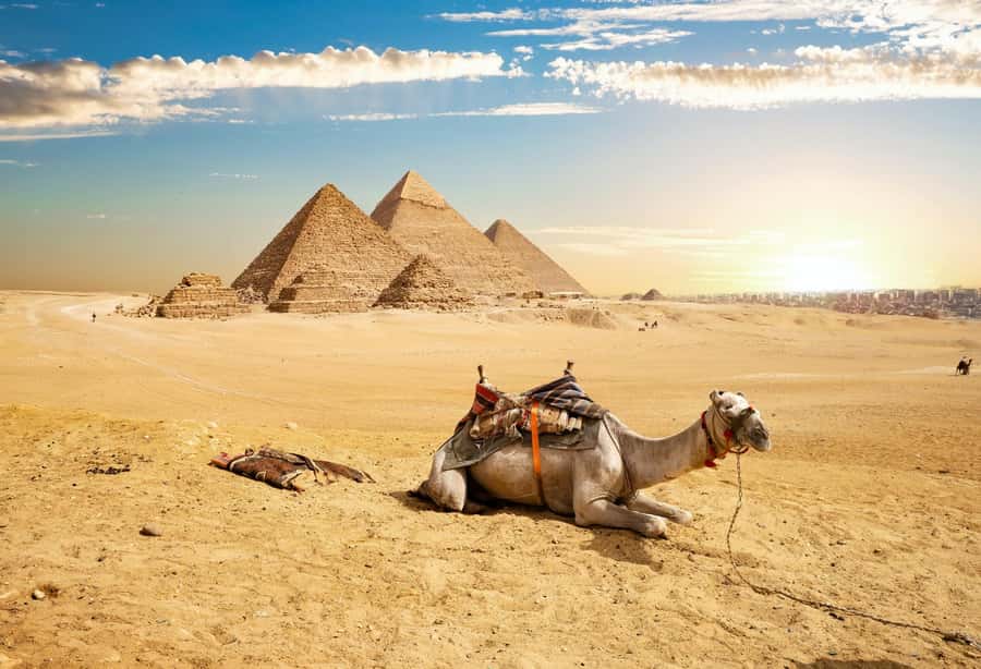 Cairo: Giza Pyramids, Memphis, Saqqara Private Tour & Lunch - Guide quality is the real difference, and it shows