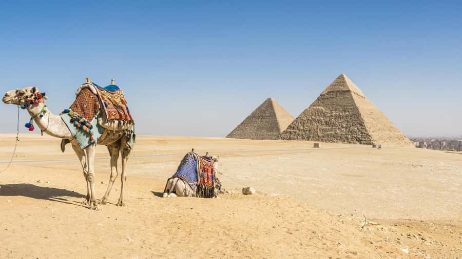 Cairo: Giza Pyramids, Memphis, Saqqara Private Tour & Lunch - The 8:00 AM pickup: why the timing helps you enjoy, not just visit