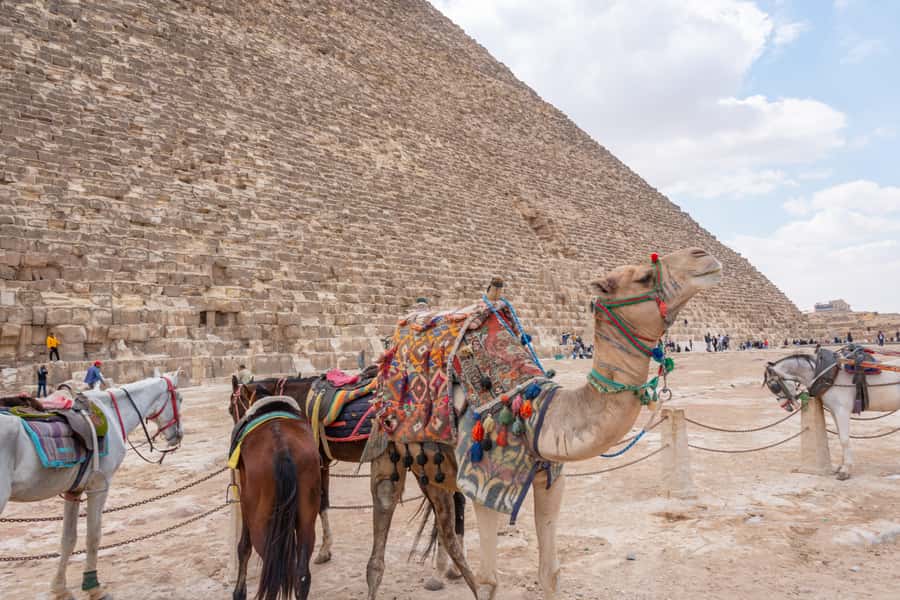 Cairo: Giza Pyramids, Museum & Tahrir Square Private Tour. - Egyptian Museum of Antiquities: big collections, smart pacing