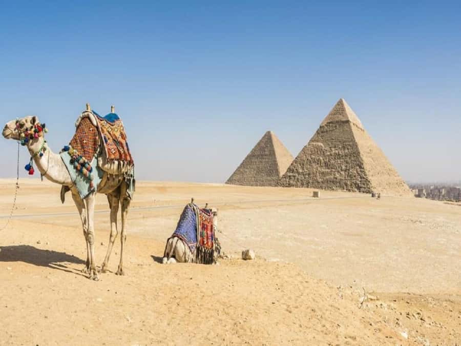 Cairo: Giza Pyramids, Sakkara & Dahshur All-Inclusive Tour - Lunch, Timing Breaks, and Staying Comfortable