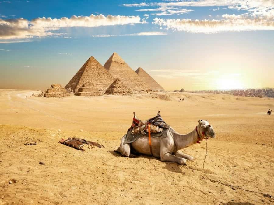 Cairo: Giza Pyramids, Sakkara & Dahshur All-Inclusive Tour - What to Watch Out For, Heat, Walking, and Inside Access