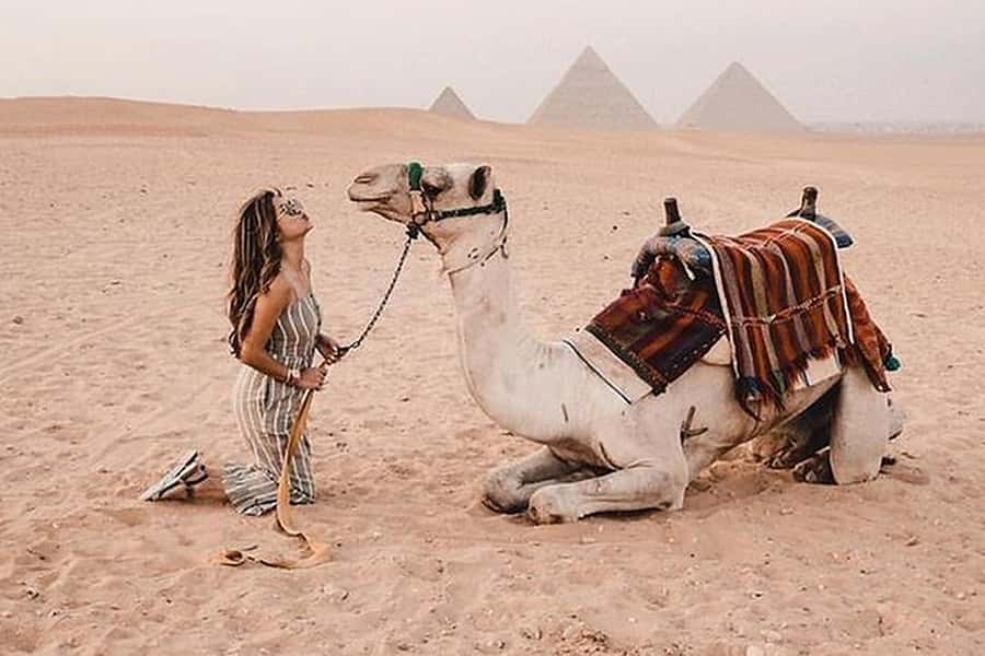 Cairo: Grand Egyptian Museum, Giza Pyramids and Sphinx Tour - Price and value: is $80 for 7 hours a fair deal?