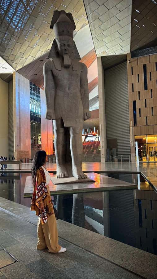 Cairo: Grand Egyptian Museum, Giza Pyramids and Sphinx Tour - Pickup and comfort in Cairo: what matters before you even reach Giza
