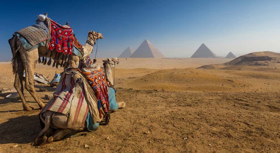 Cairo: Great Pyramids of Giza and Egyptian Museum Tour - Great Pyramids of Giza: Cheops, Chephren, and Mykerinus up close