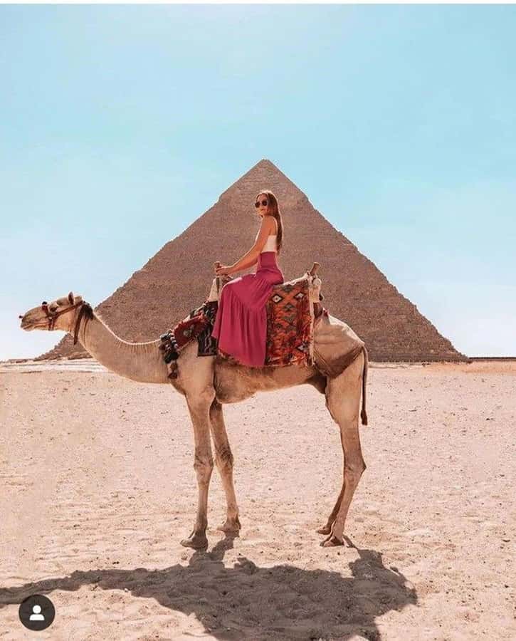 Cairo: Great Pyramids of Giza and Egyptian Museum Tour - Hotel pickup, transport, and the reality of a 7-hour day