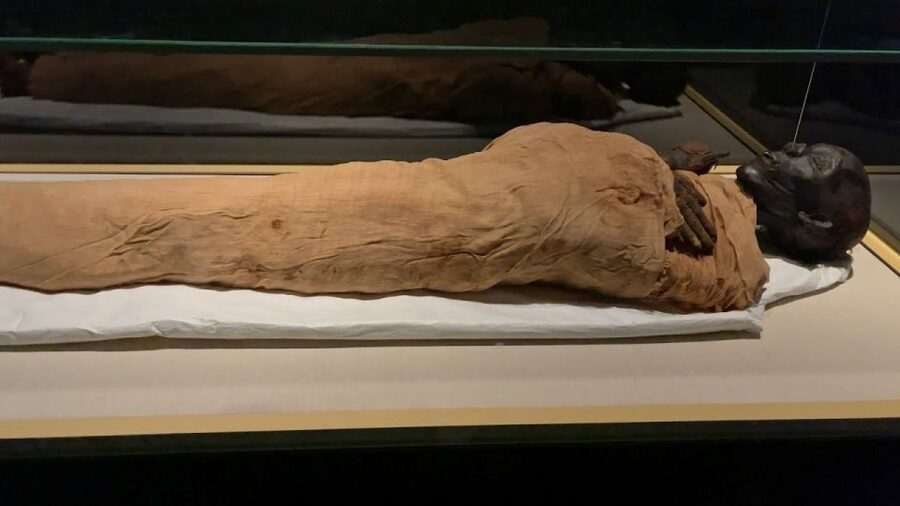 Cairo: National Museum of Egypt Skip-the-Line QR Ticket - A museum that covers Egypt’s timeline, not just one era