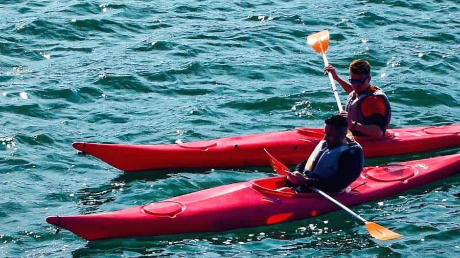 Cairo: Private Nile Kayaking Adventure with hotel transfers. - What to Bring, and Who Should Skip It