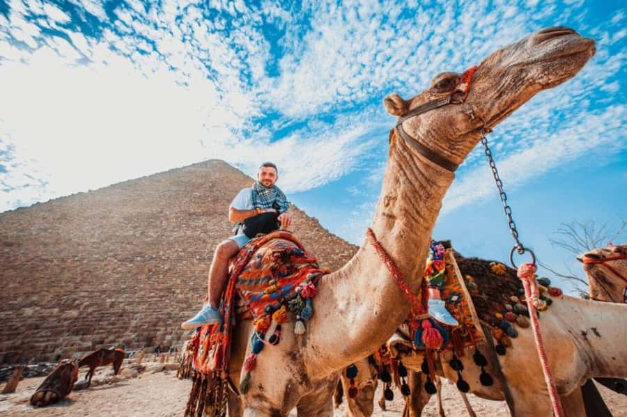 Cairo: Pyramids & Great Sphinx Private Tour with Camel Ride - Price and value: is $48 per person a smart deal