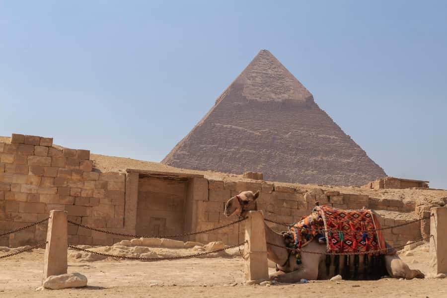 Cairo: Pyramids, Sphinx & Grand Egyptian Museum Private Tour - Value for $155: when this price makes sense