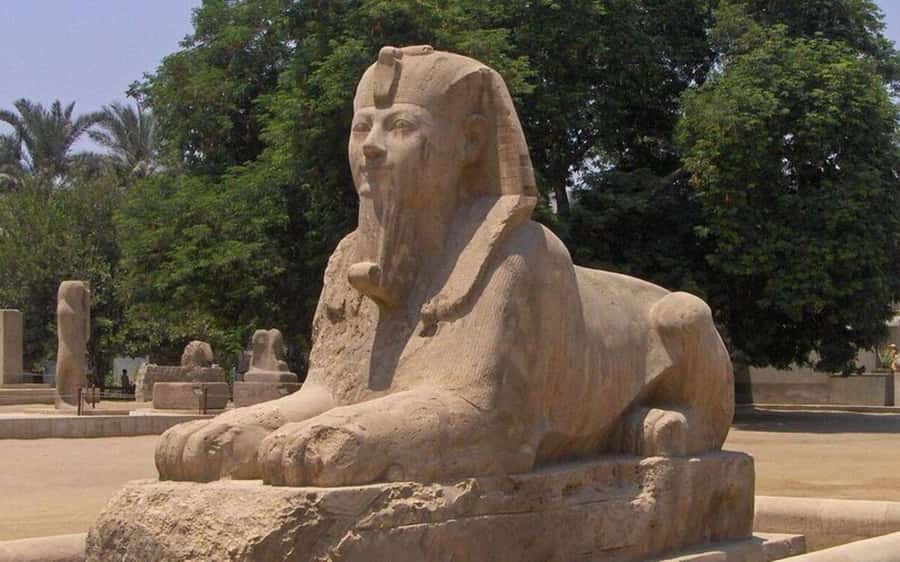 Cairo: Saqqara, Memphis, and Dahshur Day Trip with Lunch - Lunch, bottled water, and what you might pay extra for
