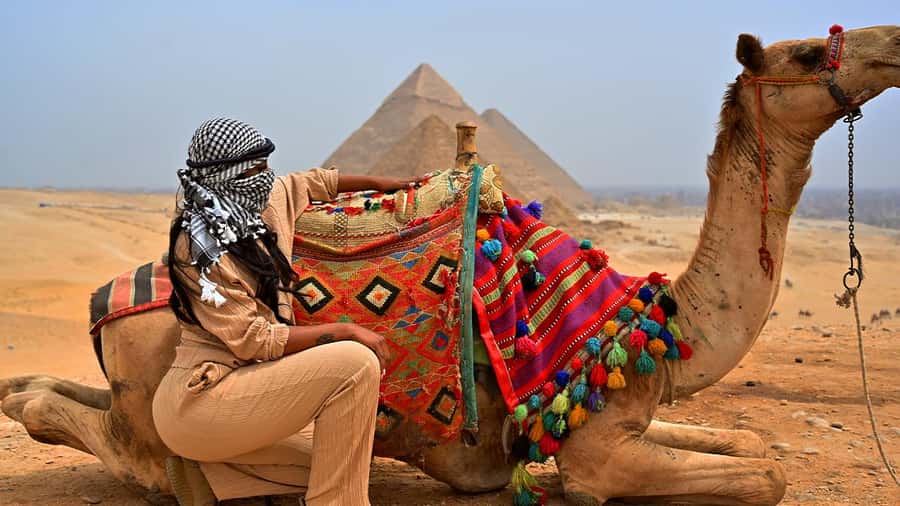 Cairo: Sunrise Camel Ride, Pyramids Tour & Local Breakfast. - Key Highlights You’ll Care About